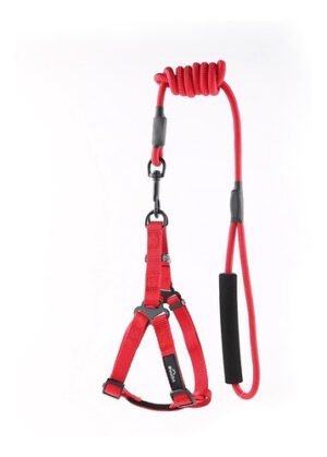 Arnes Con Correa Para Perro Vonne Talle S
