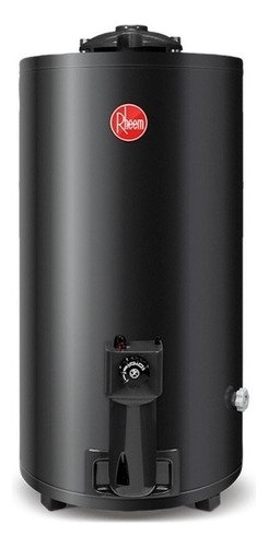 Termotanque A Gas Natural Rheem Aee Tgnp080rh Gris 80l - Mm Color Gris Oscuro