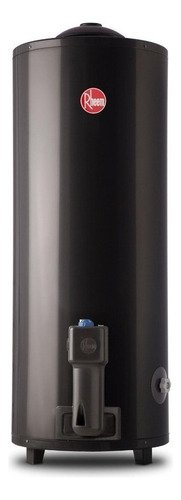 Termotanque A Gas Natural Rheem Aee Tgnp120rh Gris 120l Color Gris Oscuro