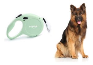 Correa Extensible Para Perros 5mt Hasta 58kg Retractil Vonne Color Verde Agua