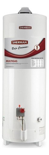 Termotanque A Gas 120 Lts Sherman Tpgp120msh13 Superior Apoy Color Blanco