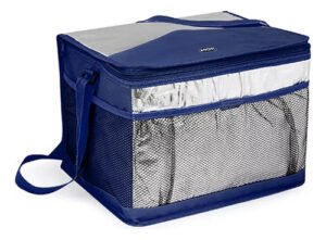 Conservadora Bolso Térmico Lunchera Viandera Mor 20 Lts