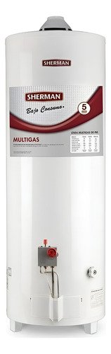 Termotanque 80 Lts Sherman Tpgp080msh13 Gas Conex Sup De Pie