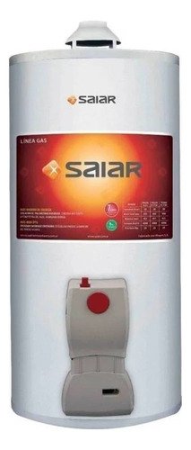 Termotanque Multi Gas De Colgar 50 Litros Saiar Rheem Tcg050 Color Blanco
