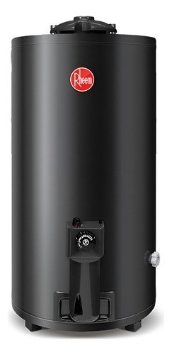 Termotanque A Gas Natural Rheem Aee Tgnp080rh Gris 80l - Mm