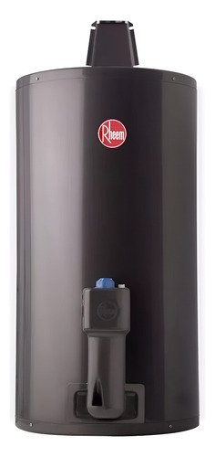 Termotanque A Gas Rheem De Colgar Tgnc080rh 80lts Clase A
