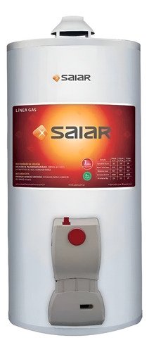 Termotanque Multi Gas De Colgar 50 Litros Saiar Rheem Tcg050