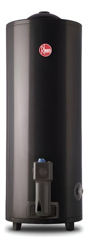 Termotanque A Gas Natural Rheem Aee Tgnp120rh Gris 120l Colo - Gris Oscuro