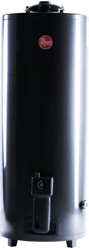 Termotanque A Gas Natural Rheem Aee Tgnp120rh Gris 120l Color Gris Oscuro - Imagen 3