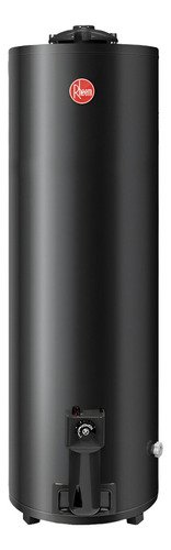 Termotanque A Gas Natural De Pie 150 Lts Tgnp150rh Rheem Mm Color Gris Oscuro