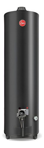 Termotanque Rheem Confort Apg160lrh07 Negro 160l