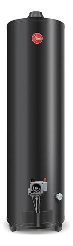 Termotanque Rheem 160lts Alta Potencia Recupera Gas Envasado - Negro