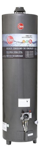 Termotanque Rheem Confort Apg160lrh07 Negro 160l - Imagen 3