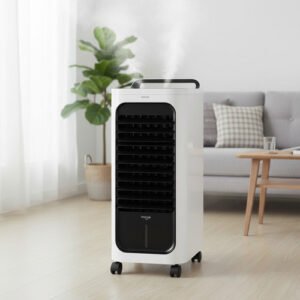 Climatizador De Aire Portatil Frío Y Calor 80 / 2000w Vonne Blanco Y Negro Blanco/negro