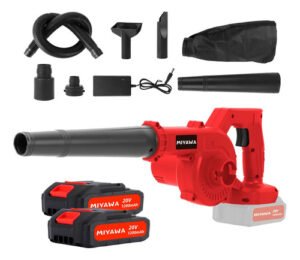 Sopladora Aspiradora 20v Inalámbrica 2 En 1 Con 2 Baterías Rojo Y Negro Rojo/negro