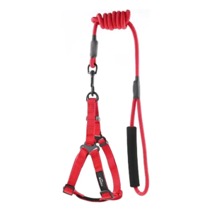 Arnes Con Correa Para Perro Vonne Talle M